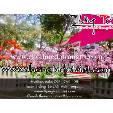 cho thuê cảnh Nhật Bản 4